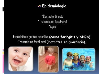 Epidemiología
*Contacto directo
*Transmisión fecal-oral
*Agua
Exposición a gotitas de saliva (causa faringitis y SDRA).
Transmisión fecal-oral (lactantes en guardería).
 
