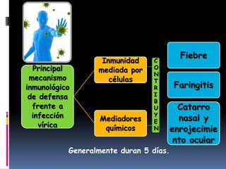 Generalmente duran 5 días.
Principal
mecanismo
inmunológico
de defensa
frente a
infección
vírica
Inmunidad
mediada por
células
Fiebre
Faringitis
Mediadores
químicos
Catarro
nasal y
enrojecimie
nto ocular
C
O
N
T
R
I
B
U
Y
E
N
 