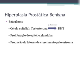 Hiperplasia Prostática Benigna
• Patogênese
                                    5-alfa-redutase


 - Célula epitelial: Testosterona                     DHT

 - Proliferação do epitélio glandular

 - Produção de fatores de crescimento pelo estroma
 
