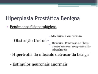 Hiperplasia Prostática Benigna
• Fenômenos fisiopatológicos

                        Mecânica: Compressão
  - Obstrução Uretral
                         Dinâmica: Contração de fibras
                         musculares com receptores alfa-
                         adrenérgicos
 - Hipertrofia do músculo detrusor da bexiga

 - Estímulos neuronais anormais
 
