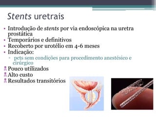 Stents uretrais
• Introdução de stents por via endoscópica na uretra
  prostática
• Temporários e definitivos
• Recoberto por urotélio em 4-6 meses
• Indicação:
  ▫ pcts sem condições para procedimento anestésico e
    cirúrgico
 Pouco utilizados
 Alto custo
 Resultados transitórios
 
