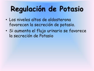 Regulación de Potasio
• Los niveles altos de aldosterona
  favorecen la secreción de potasio.
• Si aumenta el flujo urinario se favorece
  la secreción de Potasio
 
