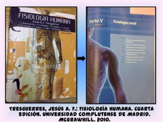 Tresguerres, Jesús A. F.: Fisiología Humana. Cuarta
   edición. Universidad Complutense de Madrid.
                 McGrawHill. 2010.
 