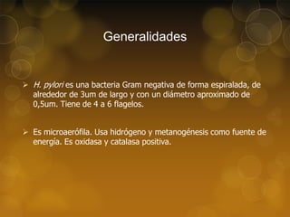 Generalidades

 H. pylori es una bacteria Gram negativa de forma espiralada, de
alrededor de 3um de largo y con un diámetro aproximado de
0,5um. Tiene de 4 a 6 flagelos.
 Es microaerófila. Usa hidrógeno y metanogénesis como fuente de
energía. Es oxidasa y catalasa positiva.

 