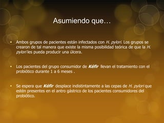Asumiendo que…


Ambos grupos de pacientes están infectados con H. pylori. Los grupos se
crearon de tal manera que existe la misma posibilidad teórica de que la H.
pylori les pueda producir una úlcera.



Los pacientes del grupo consumidor de Kéfir llevan el tratamiento con el
probiótico durante 1 a 6 meses .



Se espera que Kéfir desplace indistintamente a las cepas de H. pylori que
estén presentes en el antro gástrico de los pacientes consumidores del
probiótico.

 
