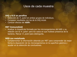 Usos de cada muestra
IHQ y H/E en parafina
• Detección de H. pylori en ambos grupos de individuos.
• Comparar resultados con los de la IHQ inicial.
• Conocer efectos del Kéfir.
MET ImmunoGold
• Analizar la biopelícula formada por los microorganismos del Kéfir y su
relación con la H. pylori para los casos en que hubiese presencia de la
bacteria. Marcar H. pylori para distinguirla.
MEB con metalizado
• Complementar la información obtenida por MET para comprender de mejor
forma la disposición de los microorganismos en la superficie gástrica y
ayudar en la obtención de conclusiones.

 