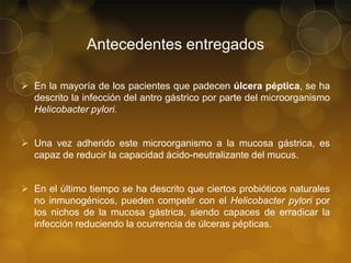 Antecedentes entregados
 En la mayoría de los pacientes que padecen úlcera péptica, se ha
descrito la infección del antro gástrico por parte del microorganismo
Helicobacter pylori.

 Una vez adherido este microorganismo a la mucosa gástrica, es
capaz de reducir la capacidad ácido-neutralizante del mucus.
 En el último tiempo se ha descrito que ciertos probióticos naturales
no inmunogénicos, pueden competir con el Helicobacter pylori por
los nichos de la mucosa gástrica, siendo capaces de erradicar la
infección reduciendo la ocurrencia de úlceras pépticas.

 