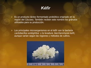 Kéfir
 Es un producto lácteo fermentado probiótico originado en la
región del Cáucaso. También reciben este nombre los gránulos
utilizados para su producción.
 Los principales microorganismos en el kéfir son la bacteria
Lactobacillus acidophilus y la levadura Saccharomyces kefir,
aunque varían según las regiones y métodos de cultivo.

 