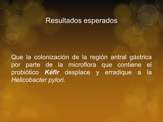 Resultados esperados

Que la colonización de la región antral gástrica
por parte de la microflora que contiene el
probiótico Kéfir desplace y erradique a la
Helicobacter pylori.

 