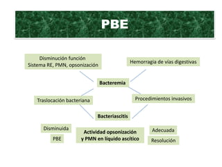 PBE

     Disminución función
                                              Hemorragia de vías digestivas
Sistema RE, PMN, opsonización


                                Bacteremia


   Traslocación bacteriana                      Procedimientos invasivos


                             Bacteriascitis

      Disminuida                                       Adecuada
                       Actividad opsonización
          PBE         y PMN en líquido ascítico        Resolución
 