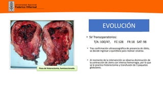 Universidad Nacional
Federico Villarreal
EVOLUCIÓN