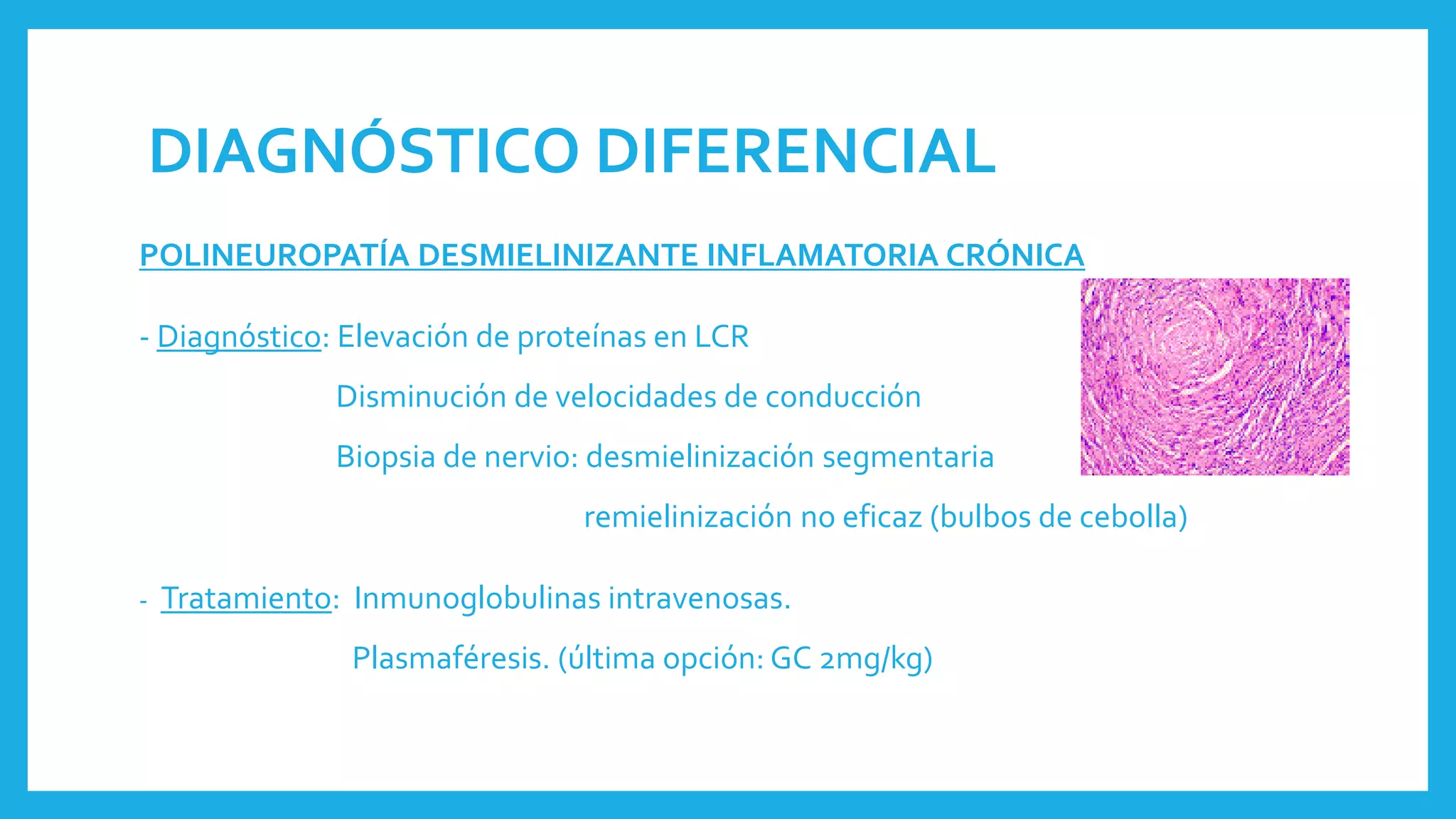DIAGNÓSTICO DIFERENCIAL
POLINEUROPATÍA DESMIELINIZANTE INFLAMATORIA CRÓNICA
- Diagnóstico: Elevación de proteínas en LCR
Disminución de velocidades de conducción
Biopsia de nervio: desmielinización segmentaria
remielinización no eficaz (bulbos de cebolla)
- Tratamiento: Inmunoglobulinas intravenosas.
Plasmaféresis. (última opción: GC 2mg/kg)
 