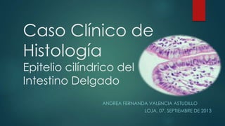 Caso Clínico de
Histología
Epitelio cilíndrico del
Intestino Delgado

ANDREA FERNANDA VALENCIA ASTUDILLO
LOJA, 07, SEPTIEMBRE DE 2013

 