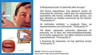 1) Respuesta ocular. El paciente abre los ojos:
•De forma espontánea: hay apertura ocular sin
necesidad de estímulo, indica que los mecanismos
excitadores del tronco cerebral están activos. Los
ojos abiertos no implica conciencia de los hechos.
“Puntuación 4”.
•A estímulos verbales: a cualquier frase, no
necesariamente una instrucción. “Puntuación 3”
•Al dolor: aplicando estímulos dolorosos en
esternón, en la base del esternocleidomastoideo,
en el lecho ungueal etc. (no debe utilizarse presión
supraorbitaria). “Puntuación 2”.
• Ausencia de respuesta: no hay apertura ocular.
“Puntuación 1”.
Fuente: Escala de coma de Glasgow
http://www.meiga.info/Escalas/Glasgow.pdf
 
