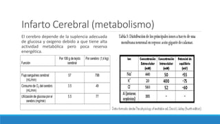 Infarto Cerebral (metabolismo)
El cerebro depende de la suplencia adecuada
de glucosa y oxigeno debido a que tiene alta
actividad metabólica pero poca reserva
energética.
 
