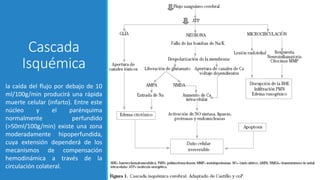 Cascada
Isquémica
la caída del flujo por debajo de 10
ml/100g/min producirá una rápida
muerte celular (infarto). Entre este
núcleo y el parénquima
normalmente perfundido
(>50ml/100g/min) existe una zona
moderadamente hipoperfundida,
cuya extensión dependerá de los
mecanismos de compensación
hemodinámica a través de la
circulación colateral.
 