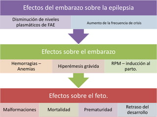 Efectos sobre el feto.
Malformaciones Mortalidad Prematuridad
Retraso del
desarrollo
Efectos sobre el embarazo
Hemorragias –
Anemias
Hiperémesis grávida
RPM – inducción al
parto.
Efectos del embarazo sobre la epilepsia
Disminución de niveles
plasmáticos de FAE Aumento de la frecuencia de crisis
 