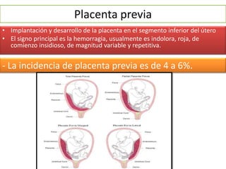 Placenta previa
• Implantación y desarrollo de la placenta en el segmento inferior del útero
• El signo principal es la hemorragia, usualmente es indolora, roja, de
comienzo insidioso, de magnitud variable y repetitiva.
- La incidencia de placenta previa es de 4 a 6%.
 