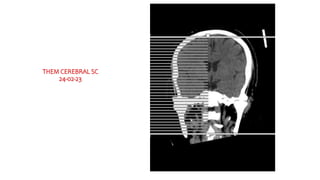 THEM CEREBRAL SC
24-02-23
 