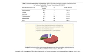 Etiology of stroke in young adults from a series of patients at the Instituto Nacional de CienciasNeurológicas in the period 2010 to 2013.
 