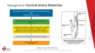 Kleindorfer, D. O., et al. (2021). 2021 AHA/ASA Guideline for the Prevention of Stroke in Patients With Stroke and Transient Ischemic Attack. Stroke.
Management: Cervical Artery Dissection
74
Abbreviation: TIA indicates transient ischemic attack.
Extracranial carotid OR vertebral arterial dissection
AND
Ischemic stroke or TIA
Antithrombotic therapy for at least three months
(Class 1)
In patients with ischemic stroke or TIA who are <3 months
after an extracranial carotid or vertebral arterial
dissection, it is reasonable to use either aspirin or
warfarin to prevent recurrent stroke or TIA. (Class 2a)
Endovascular therapy
(Class 2b)
Recurrent events despite antithrombotic therapy
Sudden neck movement and cervical artery dissection
John W. Norris, Vadim Beletsky, Zurab G. Nadareishvili and
on behalf of the Canadian Stroke Consortium
CMAJ July 11, 2000 163 (1) 38-40;
 