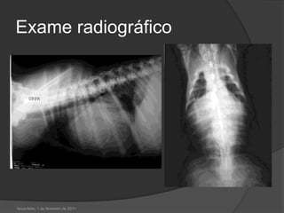 Exame radiográfico terça-feira, 1 de fevereiro de 2011