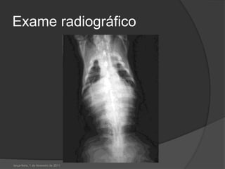 Exame radiográficoterça-feira, 1 de fevereiro de 2011