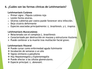 6. ¿Cuáles son las formas clínicas de Leishmaniasis?
Leishmaniasis Cutánea
o Primer signo : Pápula cutánea roja
o Lesión forma ulceras.
o Ulceras cubiertas por costra puede favorecer otra infección.
o Deja cicatriz deformante
o Especies asociadas principalmente: L. brazilensis. y L. tropica.
Leishmaniasis Mucocutánea
 Relacionada con el complejo L. braziliensis
 Caracterizado por destrucción en mucosa y estructuras tisulares.
 Puede conllevar a la muerte tras mutilación facial grave.
Leishmaniasis Visceral
 Puede cursar como enfermedad aguda fulminante
 Incubación de semanas o un año
 Signos similares a paludismo
 Hay Hepatomegalia y Esplenomegalia
 Puede afectar a las células glomerulares.
 Especie principal: L. donovani.
 