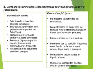 Plasmodium vivax:
• Solo invade eritrocitos
jóvenes inmaduros
• Eritrocitos Agrandados con
gránulos rosa (puntos de
Schüffner)
• Trofozoito en forma de
anillo y aspecto ameboide
• Presenta pigmento pardo-
dorado (hemozoína)
• Plasmodio mas frecuente
• Responsable de paludismo
terciario benigno
Plasmodiun falciprum:
• No muestra selectividad en
eritrocitos.
• Los eritrocitos no aumentan de
tamaño ni se distorsionan; pueden
haber puntos rojizos (Maurer)
• Pueden presentar 3 o 4 anillos.
• Distintiva por su posición frecuente
en el borde de la membrana
celular (appliquée o accolée)
• Permanecen secuestrados en
hígado y bazo.
• Múltiples esporozoitos pueden
invadir un solo eritrocito.
8. Compare las principales características de Plasmodium vivax y P.
falciparum.
 