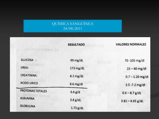 QUÍMICA SANGUÍNEA
     24/08/2011
 