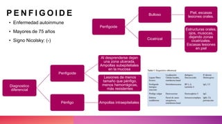 P E N F I G O I D E
• Enfermedad autoinmune
• Mayores de 75 años
• Signo Nicolsky: (-)
Penfigoide
Bulloso
Piel, escasas
lesiones orales.
Cicatrizal
Estructuras orales,
ojos, musocas,
dejando zonas
cicatrizales.
Escasas lesiones
en piel
Diagnostico
diferencial
Penfigoide
Al desprenderse dejan
una zona ulcerada,
Ampollas subepiteliales
en la mucosa
Lesiones de menos
tamaño que pénfigo,
menos hemorrágicas,
más resistentes
Pénfigo Ampollas intraepiteliales
 