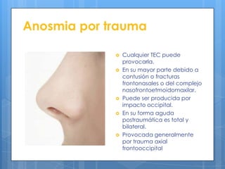 Anosmia por trauma

                Cualquier TEC puede
                 provocarla.
                En su mayor parte debido a
                 contusión o fracturas
                 frontonasales o del complejo
                 nasofrontoetmoidomaxilar.
                Puede ser producida por
                 impacto occipital.
                En su forma aguda
                 postraumática es total y
                 bilateral.
                Provocada generalmente
                 por trauma axial
                 frontooccipital
 