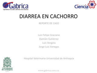 DIARREA EN CACHORRO
REPORTE DE CASO
Luis Felipe Graciano
Damián Gutiérrez
Luis Vergara
Jorge Luis Vanegas
Hospital Veterinario Universidad de Antioquia
 