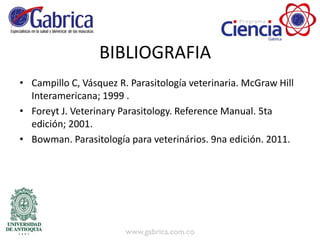 BIBLIOGRAFIA
• Campillo C, Vásquez R. Parasitología veterinaria. McGraw Hill
Interamericana; 1999 .
• Foreyt J. Veterinary Parasitology. Reference Manual. 5ta
edición; 2001.
• Bowman. Parasitología para veterinários. 9na edición. 2011.
 