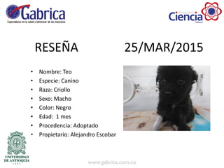 RESEÑA 25/MAR/2015
• Nombre: Teo
• Especie: Canino
• Raza: Criollo
• Sexo: Macho
• Color: Negro
• Edad: 1 mes
• Procedencia: Adoptado
• Propietario: Alejandro Escobar
 