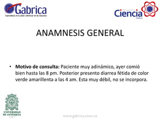 ANAMNESIS GENERAL
• Motivo de consulta: Paciente muy adinámico, ayer comió
bien hasta las 8 pm. Posterior presento diarrea fétida de color
verde amarillenta a las 4 am. Esta muy débil, no se incorpora.
 
