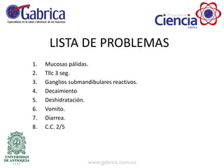 1. Mucosas pálidas.
2. Tllc 3 seg.
3. Ganglios submandibulares reactivos.
4. Decaimiento
5. Deshidratación.
6. Vomito.
7. Diarrea.
8. C.C. 2/5
LISTA DE PROBLEMAS
 