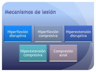 Hiperflexión    Hiperflexión   Hiperextensión
 disruptiva     compresiva       disruptiva



       Hiperextensión    Compresión
         compresiva        axial
 
