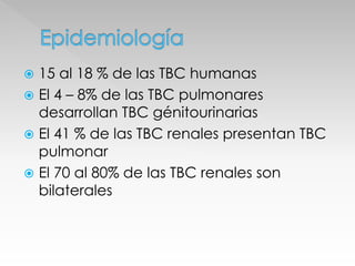  15 al 18 % de las TBC humanas 
 El 4 – 8% de las TBC pulmonares 
desarrollan TBC génitourinarias 
 El 41 % de las TBC renales presentan TBC 
pulmonar 
 El 70 al 80% de las TBC renales son 
bilaterales 
 