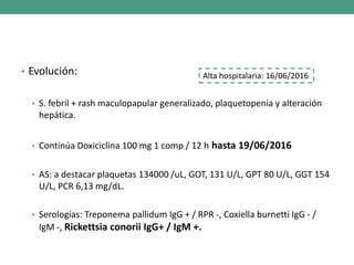• Evolución:
• S. febril + rash maculopapular generalizado, plaquetopenia y alteración
hepática.
• Continúa Doxiciclina 100 mg 1 comp / 12 h hasta 19/06/2016
• AS: a destacar plaquetas 134000 /uL, GOT, 131 U/L, GPT 80 U/L, GGT 154
U/L, PCR 6,13 mg/dL.
• Serologías: Treponema pallidum IgG + / RPR -, Coxiella burnetti IgG - /
IgM -, Rickettsia conorii IgG+ / IgM +.
Alta hospitalaria: 16/06/2016
 