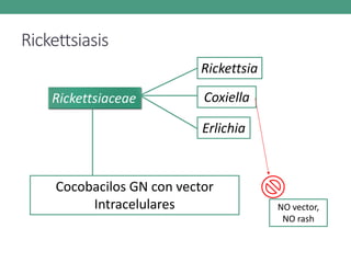 Rickettsiasis
Rickettsiaceae
Rickettsia
Coxiella
Erlichia
Cocobacilos GN con vector
Intracelulares NO vector,
NO rash
 
