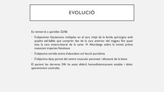 EVOLUCIÓ
Es reintervé a quiròfan 22/06
• S’objectiven fistulacions múltiples en el terç mitjà de la ferida quirúrgica amb
quadre cel·lulític que comprèn des de la cara anterior del migpeu fins quasi
tota la cara antero-lateral de la cama  Abordatge sobre la incisió prèvia
ressecant trajectes fistulosos
• S’objectiva sortida activa d’abundant col·lecció purulenta
• S’objectiva dany parcial del ventre muscular peroneal i afectació de la baina
El pacient les darreres 24h ha estat afebril, hemodinàmicament estable i dolor
aparentment controlat.
 