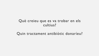 Què creieu que es va trobar en els
cultius?
Quin tractament antibiòtic donaríeu?
 