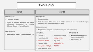 EVOLUCIÓ
EXPLORACIÓ
• Constants estables
• Ferida a turmell esquerre, no signes
inflamatoris importants, no crepita,
dolorosa al tacte i a la mobilització
TRACTAMENT
• Penicilina G sòdica + clindamicina EV
EXPLORACIÓ
• Constants estables
• Ferida bé, discret dolor, fluctua en el mal·lèol extern del peu, però no hi ha signes
inflamatoris clars, mobilitza bé, dolor a la flexió
MICROBIOLOGIA:
• Streptococcus pyogenes (a totes les mostres) + E. Coli (a 2 mostres)
25/06 26/06
TRACTAMENT:
• Bencilpenicilina sòdica EV
(canvi a ceftriaxona EV)
• Clindamicina EV
ANALÍTICA:
• Leucòcits 9,2
• Neutròfils 62,60%
• Hematòcrit 34,80%
• Plaquetes 308,00
• Hemoglobina 11,50 g/dL
• Nivell de glucosa 90 mL
• Creatinina 0,72 mg/dL
• Alt/Gpt 96 U/L
• Ggt 25 U/L
• Albúmia 34,7 g/L
• PCR 7,6
 