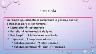 ETIOLOGÍA
• La familia Spirochaetales comprende 4 géneros que son
patógenos para el ser humano:
• Leptospira à leptospirosis
• Borrelia à enfermedad de lyme.
• Brachyspira à infecciones intestinales
• Treponema à trepponematosis:
• Pallidum pallidum à sífilis venérea
• Pallidum pertenue à pian y frambesia
 