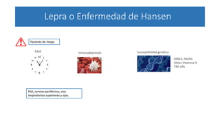 Lepra o Enfermedad de Hansen
Piel, nervios periféricos, vías
respiratorias superiores y ojos.
Factores de riesgo
Edad Inmunodepresión Susceptibilidad genética
- PARK2, PACRG
- Alelos Vitamina D
- TNF-alfa
 