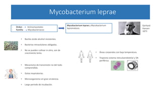 Mycobacterium leprae
Mycobacterium leprae y Mycobacterium
lepromatosis.
• Bacilos ácido-alcohol resistentes.
• Bacterias intracelulares obligadas.
• No se pueden cultivar in vitro, son de
crecimiento lento.
- Orden Actinomycetales
- Familia Mycobacteriacea
Gerhard
Hansen
1873
• Áreas corporales con baja temperatura.
• Tropismo sistema reticuloendotelial y SN
periférico.
• Mecanismo de transmisión no del todo
comprendido.
• Gotas respiratorias.
• Microorganismo sin gran virulencia.
• Largo periodo de incubación.
 