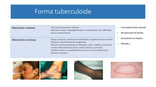 Forma tuberculoide
Afectación cutánea - Una o pocas lesiones cutáneas.
- Máculas o placas hipopigmentadas o eritematosas bien definidas,
secas y descamativas.
Afectación nerviosa - Etapas precoces, pérdida de sensibilidad y engrosamiento nervioso.
- Hipótesis: desmielinización segmental.
- Nervios más frecuentemente afectados: ulnar, mediano, peroneal
común, tibial posterior, facial, radial cutáneo y auricular.
- Pérdida motora o sensibilidad de nervios en la vecindad de las
lesiones cutáneas.
• Inmunidad celular elevada
• No detección de bacilos
• Granulomas en biopsia
• Mitsuda +
 