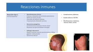 Reacciones inmunes
Reacción tipo 1
Formas borderline
• Manisfestaciones clínicas:
- Eritema e induración de las lesiones preexistentes.
- Edema en manos y/o pies.
- Ulceración de lesiones cutáneas.
- Empeoramiento afectación nerviosa
• Mecanismo patogénico:
- Incremento de la respuesta inmune celular
- Respuesta de hipersensibilidad retardada
• Hallazgos laboratorio:
- Biopsia: Aumento reacción granulomatosa y células
gigantes multinucleadas.
- Quimiocina CXCL10
• Complicaciones sistémicas
• Pueden afectar al 30-50%
• Manifestaciones sistémicas:
- Astenia, fiebre, artritis
 