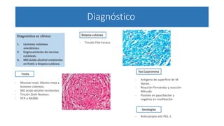 Diagnóstico
Diagnóstico es clínico:
1. Lesiones cutáneas
anestésicas.
2. Engrosamiento de nervios
cutáneos.
3. MO ácido-alcohol resistentes
en frotis o biopsia cutánea.
Frotis
Biopsia cutánea
- Mucosa nasal, lóbulos oreja y
lesiones cutáneas.
- MO ácido-alcohol resistentes.
- Tinción Ziehl-Neelsen.
- PCR o NASBA.
- Tinción Fite-Faraco.
Test Lepromina
Serologías
- Antígeno de superficie de M.
leprae.
- Reacción Fernández y reacción
Mitsuda.
- Positivo en paucibacilar y
negativo en multibacilar
- Anticuerpos anti PGL-1.
 